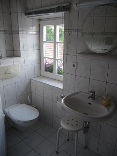a bathroom with a sink and a toilet and a window at Gasthof zur Hoffnung in Hinterhermsdorf