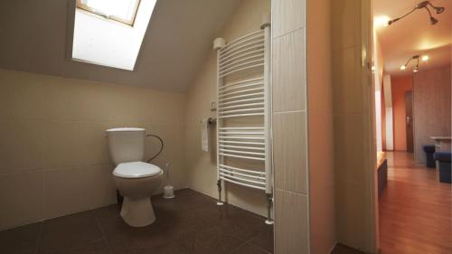 a bathroom with a toilet and a skylight at HOTEL Villa Romaine in Šahy