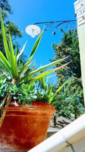 Jardín al aire libre en Casale Vittoria Atri