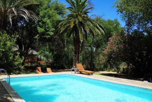 a swimming pool with two chairs and a palm tree at Omaruru Guesthouse in Omaruru
