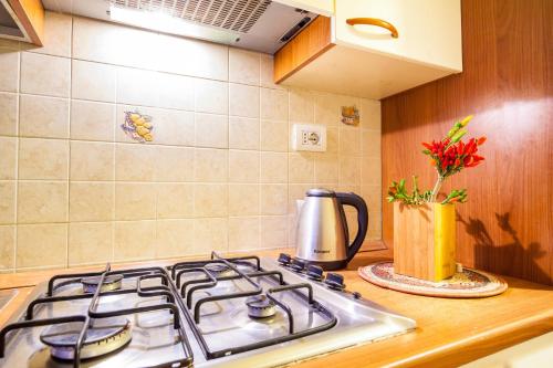 Ein Küchenherd mit einer Kaffeekanne auf der Arbeitsfläche in der Unterkunft Time in Rom