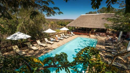 a swimming pool with lounge chairs and umbrellas at Nyati Safari Lodge in Balule Game Reserve