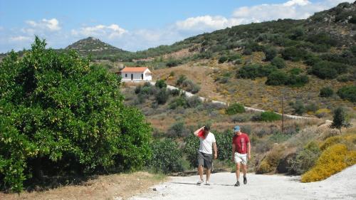 Φυσικό τοπίο κοντά σε αυτό το ξενοδοχείο