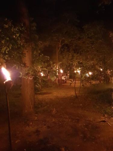 a park lit up at night with a parking meter at Tamarind Tamarind Resort, Tourist Board Approved in Habarana
