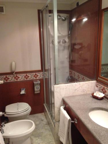 a bathroom with a toilet and a shower and a sink at Hotel Flora in Frascati