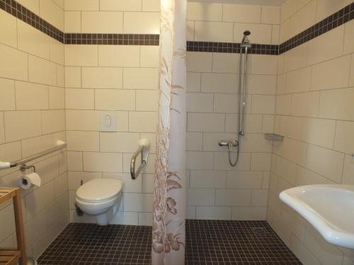 a bathroom with a shower and a toilet and a sink at Ferienobjekt beim Steinmetzen in Radebeul