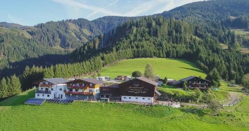 an aerial view of a house on a green hill at Bergbauernhof Kinderparadies Oberhasenberghof in Taxenbach