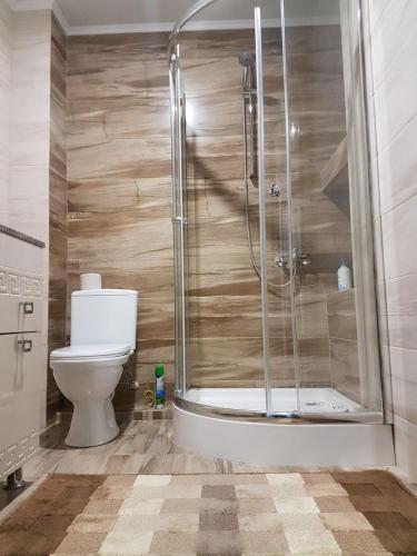 a bathroom with a shower and a toilet at Russo in Chişinău