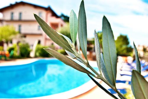 Piscina a Residence Bellavista o a prop