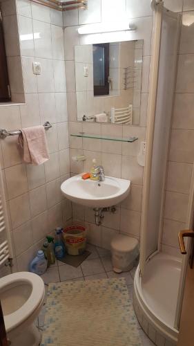 La salle de bains est pourvue d'un lavabo, de toilettes et d'une douche. dans l'établissement Rogla app Jerebika 11, à Zreče
