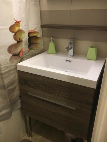 baño con lavabo blanco y algunas verduras en Art Studio, en Chamonix-Mont-Blanc