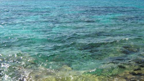 a large body of water with rocks in it at Albergo Europa in Marina di Mancaversa