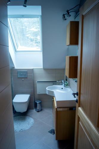 a bathroom with a toilet and a sink and a window at Apartmaji Lajf in Kranjska Gora