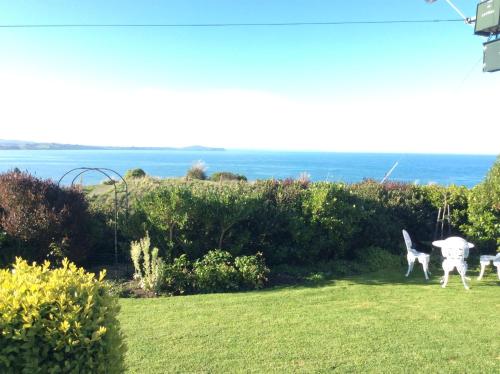 three dogs walking in a yard with the ocean in the background at Noah's Boutique Accommodation Moeraki in Moeraki