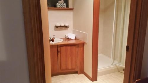 a bathroom with a sink and a shower at Beezneez B&B in Orford