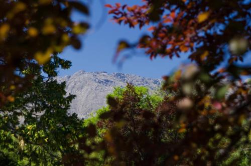 a mountain in the distance with trees in the foreground at Quebrada Mansa in Nono