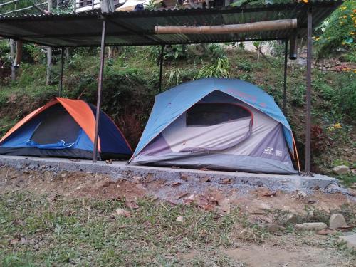 two tents are set up in a field at Peace Guest House in Pokhara