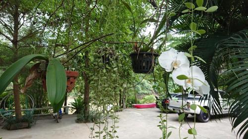 a garden with a white flower and a car at Baantantara in Suan Phung