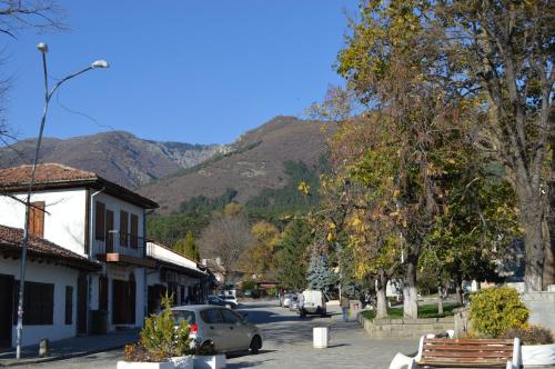 a street in a town with mountains in the background at Hotel Shterev Sopot in Sopot