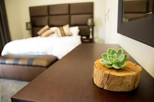 a table with a plant on top of it in a bedroom at Bush Lovers Lodge in Modimolle