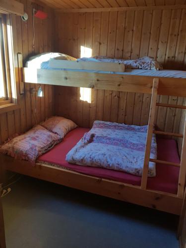 Cette chambre en bois comprend 2 lits superposés. dans l'établissement Nybu Two-bedroom cottage, à Geilo