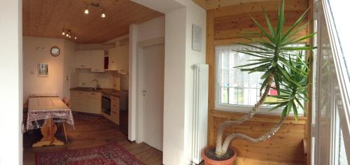 a living room and a kitchen with a potted plant at Alla Fontana Termale in Carano