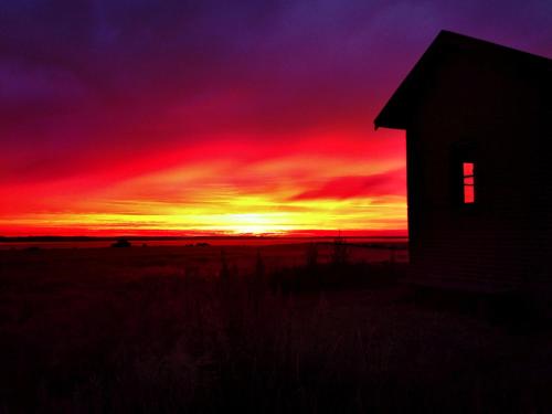 a silhouette of a barn with a sunset in the background at Det lille røde hus in Nyord
