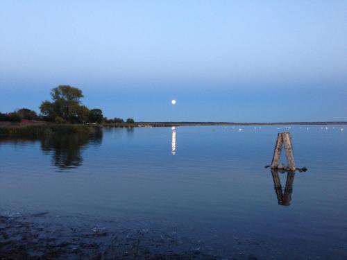 a body of water with the moon in the sky at Det lille røde hus in Nyord