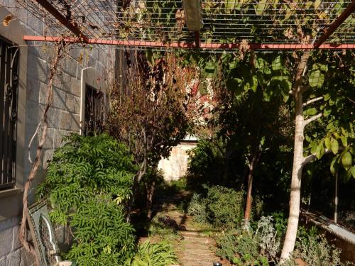 a garden with green plants and a building at הים פוגש את ההר- בית בלב הגליל Sea & Mount in Adamit