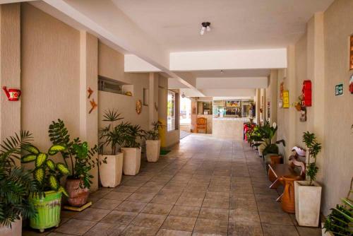 a hallway with potted plants in a building at Barbara's Hotel in Junqueirópolis