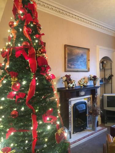 a christmas tree in a living room with a fireplace at Glengorm Guest House in Oban