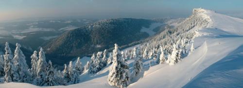 a snow covered mountain with trees on top of it at La Clé des Champs in Les Fourgs