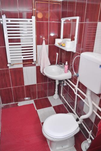 a bathroom with a toilet and a sink at Guest House Vila Banjica in Pirot