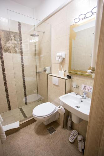 a bathroom with a toilet and a shower and a sink at Hotel-Restaurant Ayan Piatra Neamt in Piatra Neamţ