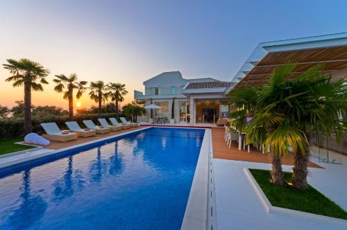 a swimming pool in front of a house with palm trees at Villa Petra in Novalja