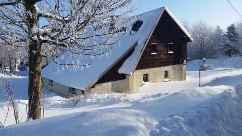 a building covered in snow with a tree in front at Ferienhaus Tooren in Kurort Altenberg