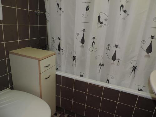 レンツァーハイデにあるAstoria (174 Se)のバスルーム(シャワーカーテン、トイレ、シンク付)