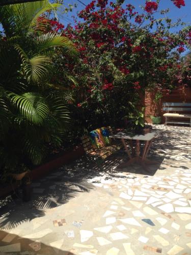 a garden with a bench and a bush with red flowers at Pousada Peregrino in Barra de Jacuípe