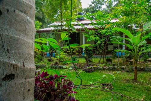 a garden with a house in the background at Senura Home Stay in Sigiriya
