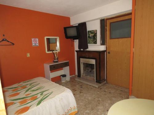 a bedroom with a bed and a fireplace and a television at Hostal El Eden in Zacatlán