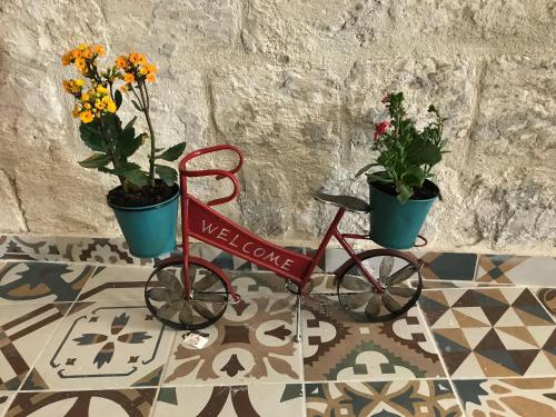 a red bike with two potted plants on it at Al Bishara Guest House in Nazareth