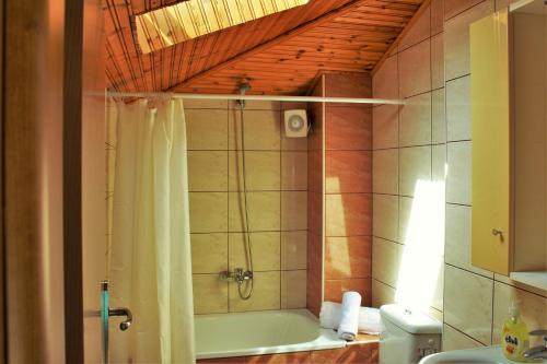 パラリア・ディオニショウにあるTheodora Villasのバスルーム(シャワー、バスタブ付)