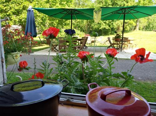 a garden with red flowers and an umbrella at Lodge Hôtel de Sommedieue Verdun in Sommedieue