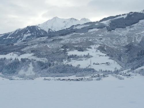 a view of a mountain with a body of water at Apartment Lochner Piesendorf-Walchen in Piesendorf