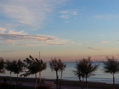 a view of a beach with trees and the ocean at Family Golf Hotel in Royan