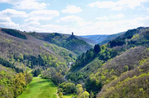 a view of a valley with a green field and trees at Pension "Haus am Walde" Brodenbach, Mosel in Brodenbach