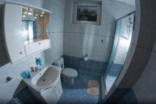 a bathroom with a sink and a toilet and a shower at ČS RoBiN OIL Harrachov in Harrachov