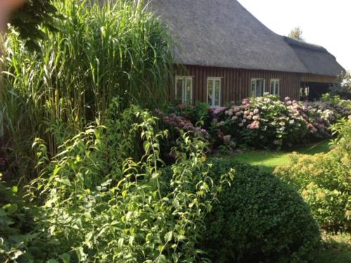 a garden with a house with a thatched roof at Marie Carla in Simonsberg