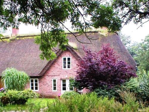 a pink brick house with a purple tree at Marie Carla in Simonsberg