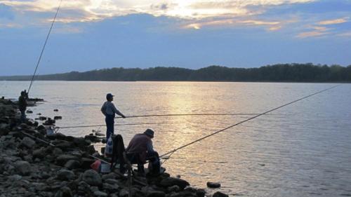 two men fishing on the shore of a lake at Къща за гости "Стария Сом" in Vardim